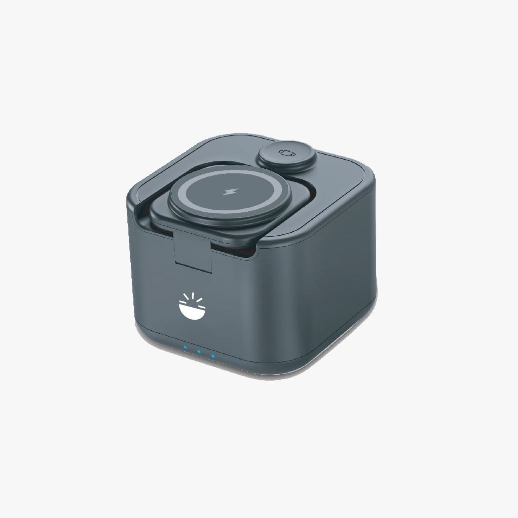 Electronic mini speaker